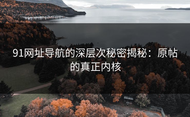 91网址导航的深层次秘密揭秘：原帖的真正内核