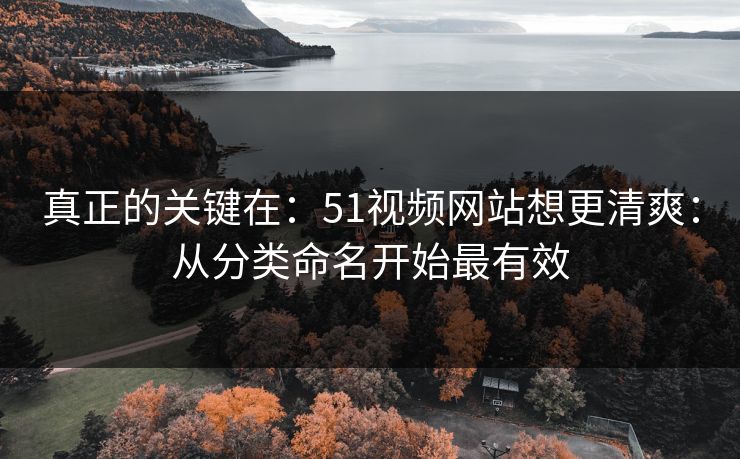 真正的关键在:51视频网站想更清爽:从分类命名开始最有效